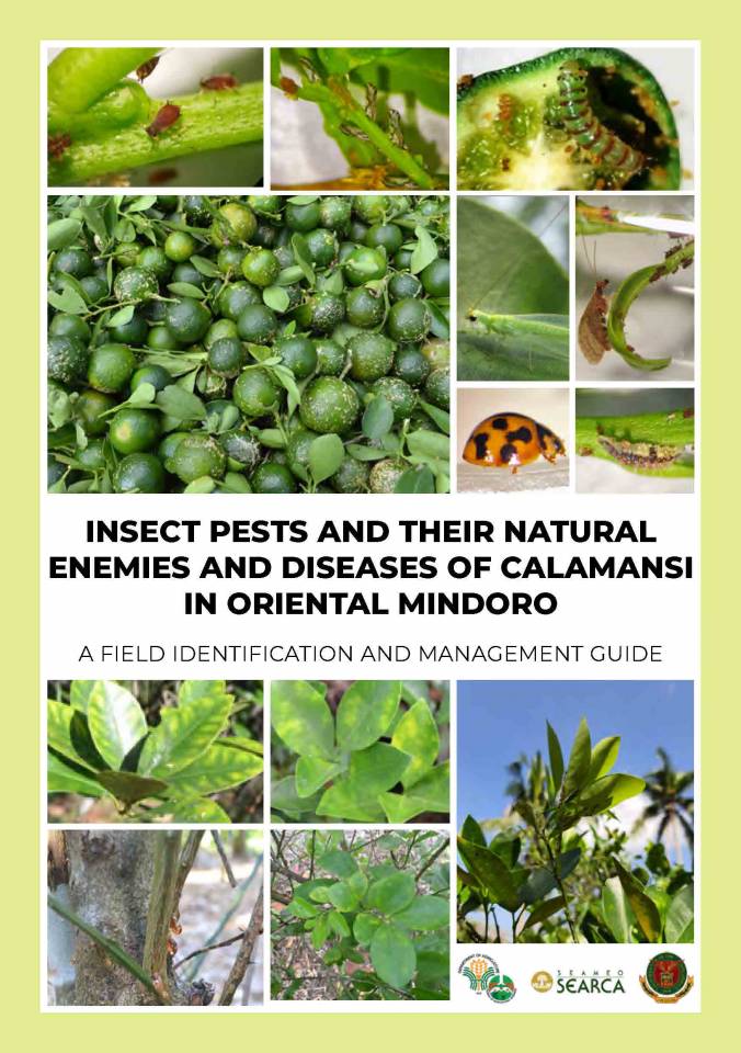 Insect Pests and Their Natural Enemies and Diseases of Calamansi in Oriental Mindoro: A Field Identification and Management Guide