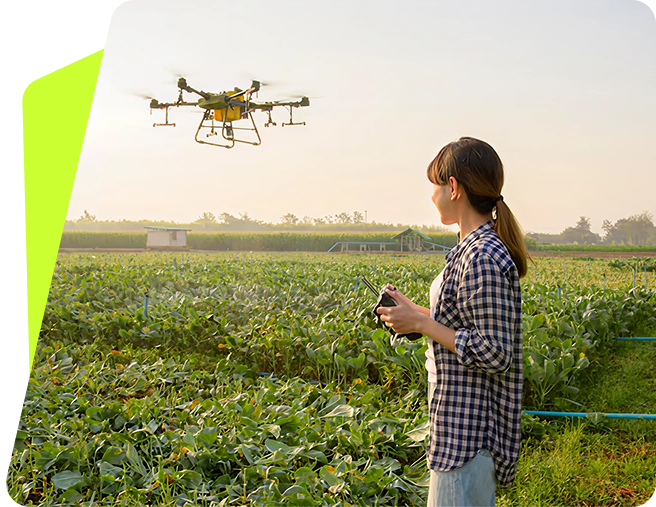 Collaborative Research