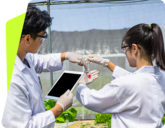 Policy and Program Development