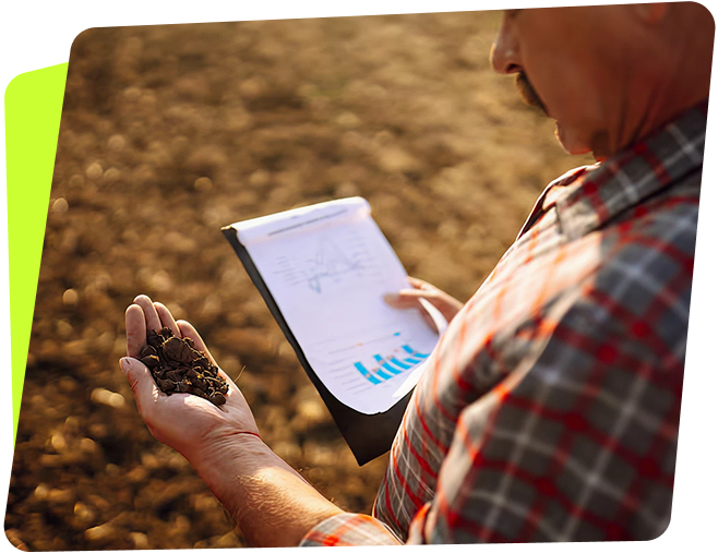 Policy and Program Development