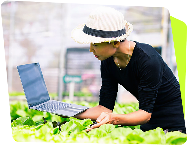 Policy and Program Development