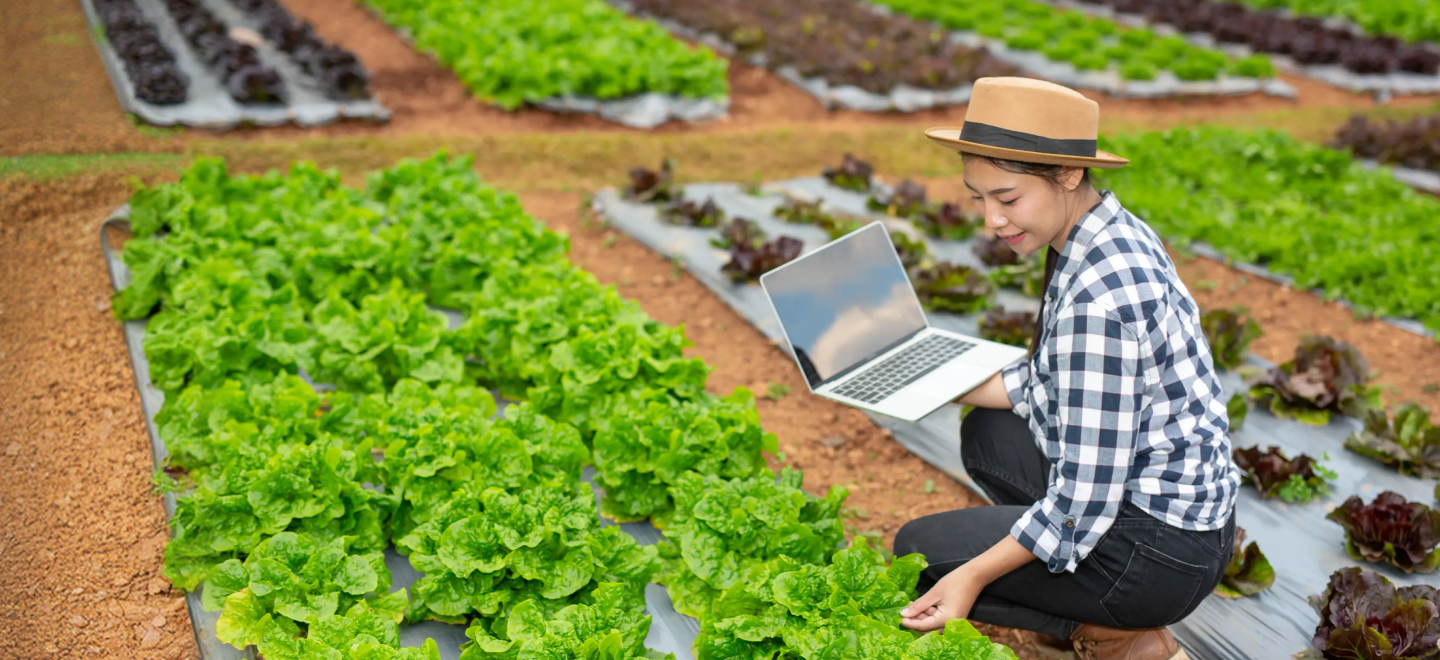 Agri-InSight: Data & Policy for Southeast Asia’s Agriculture