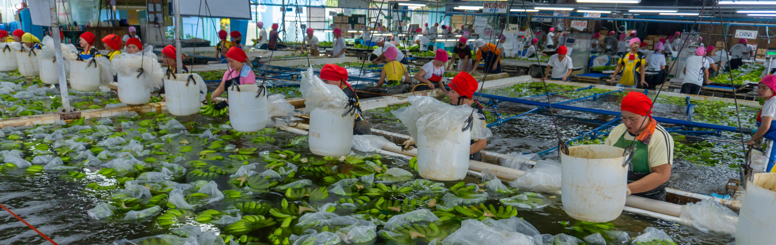 Food Safety in a Changing Southeast Asian Food System