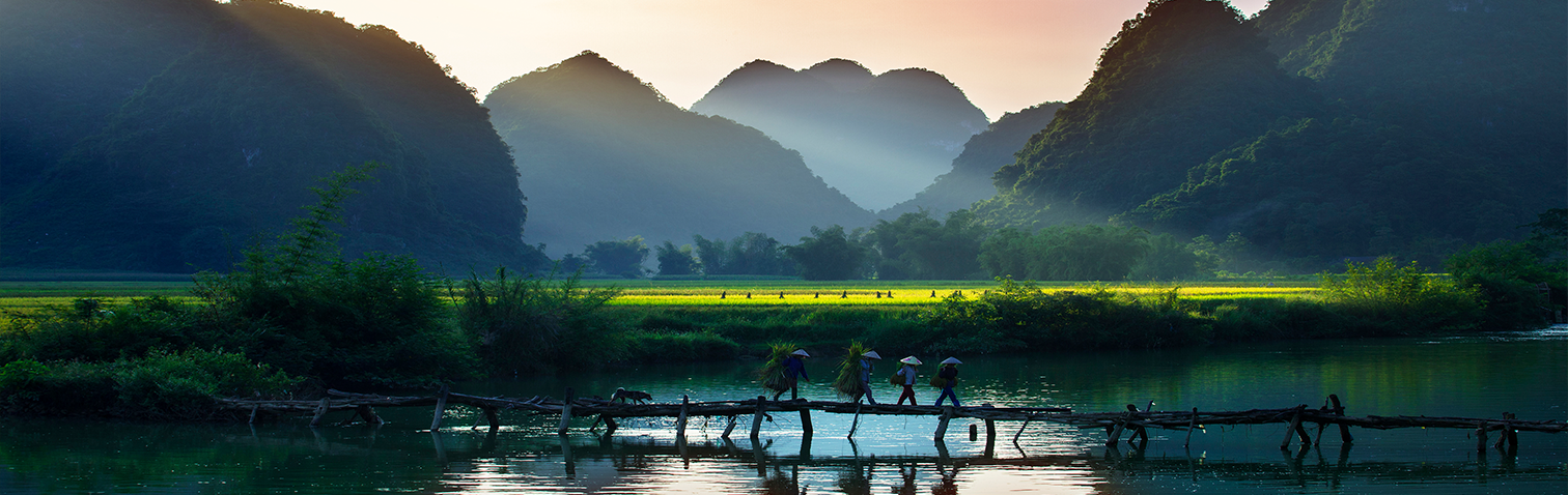 Smallholders and Food Production in Southeast Asia: Looking Beyond Farm Size